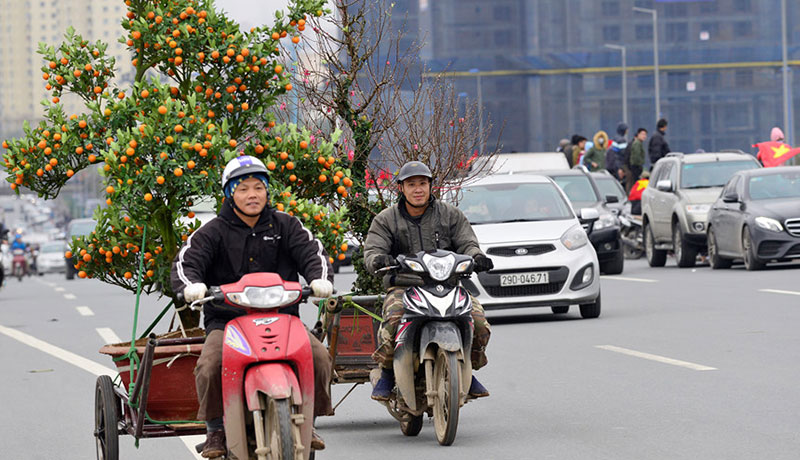 Trước Tết 10 ngày, đào Nhật Tân đã khoe sắc từ vườn về phố